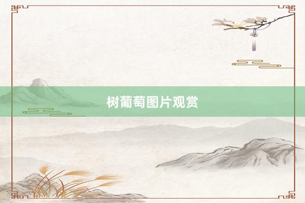 树葡萄图片观赏