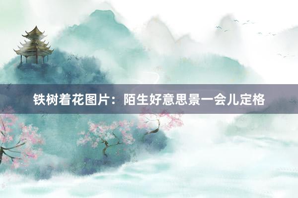 铁树着花图片：陌生好意思景一会儿定格