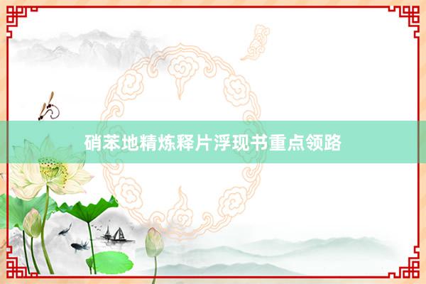 硝苯地精炼释片浮现书重点领路